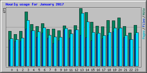 Hourly usage for January 2017